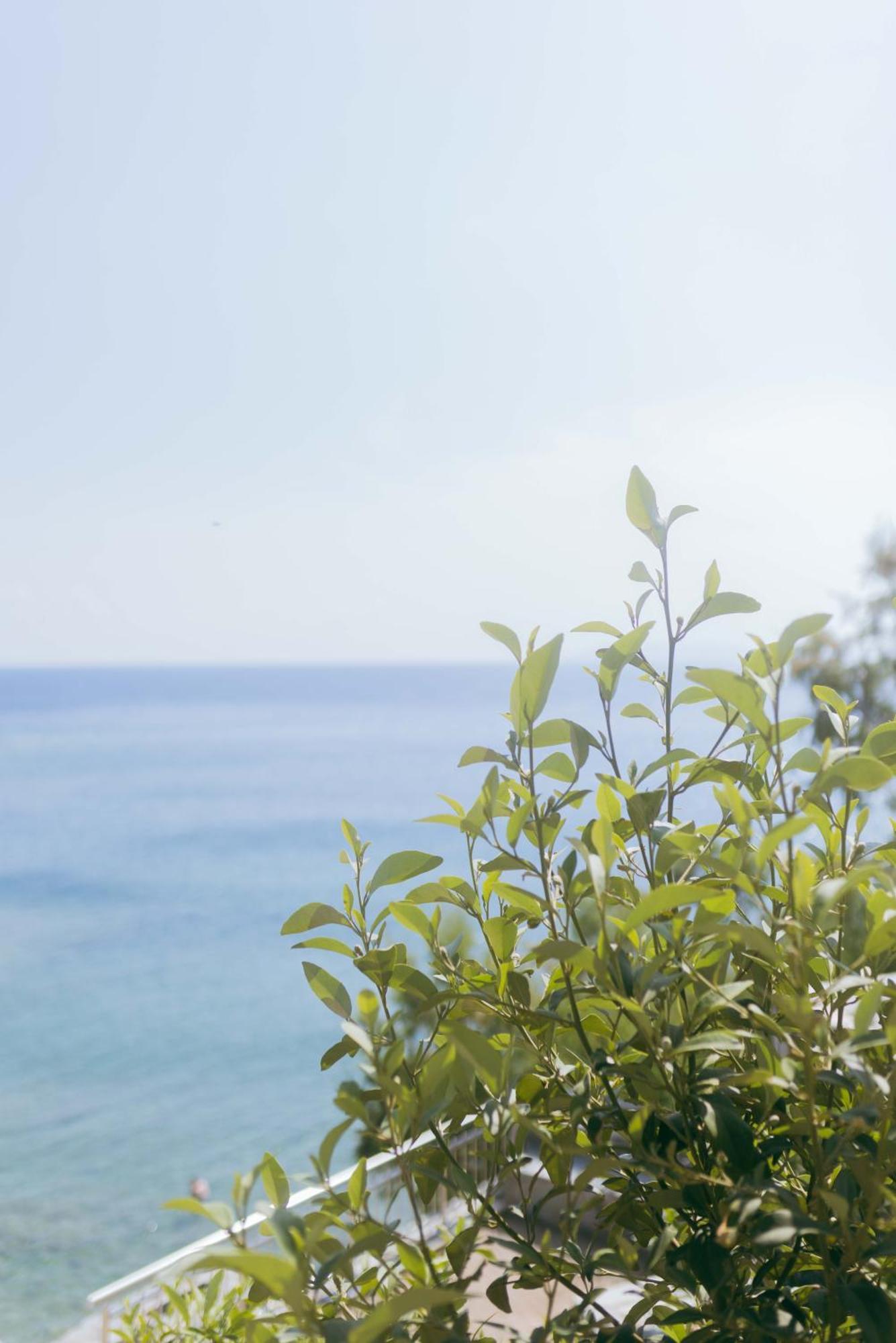 Peninsula Resort & Spa Agia Pelagia  Bagian luar foto